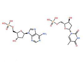 Oligo(dT)