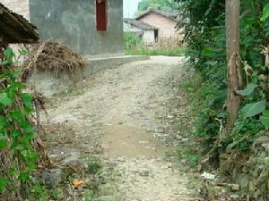 關告村通村道路