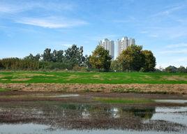 十陵青龍湖濕地公園