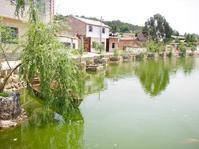 馬塘村[雲南省文山市馬塘鎮轄村]