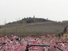 錫山子