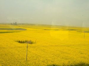 岩泉風景區[雲南省昆明市宜良縣西山營村伏獅山麓]