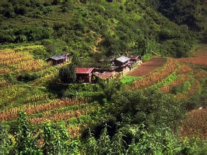 核桃村自然村