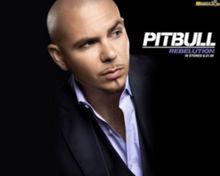 Pitbull