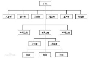 職能型組織結構