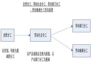 勞動地域分工理論