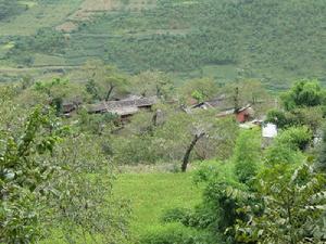 漾濞東沖藥村