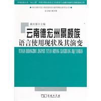 雲南德宏州景頗族語言使用現狀及其演變