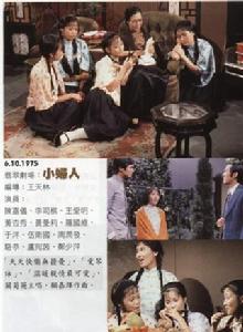 小婦人[1975年王天林執導電視劇]