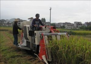 淳安縣章蔣農產品專業合作社