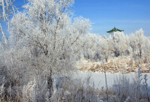 嫩江灣國家濕地公園