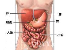 老年大腸腫瘤