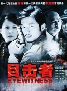 目擊者[2007年李亞鵬主演電視劇]