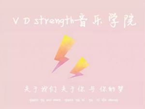 VDstrength音樂家族