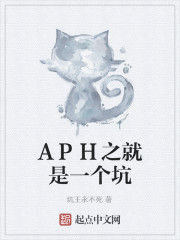 APH之就是一個坑