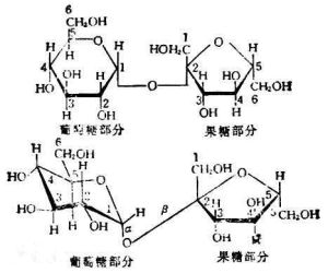 二糖