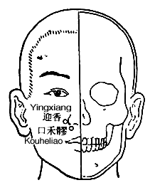 口禾髎