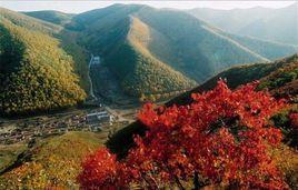 翠雲山[雲南師宗縣葵山鄉景點]