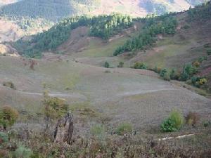 下松場村高山草場