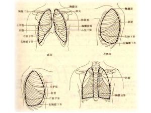 外壁層