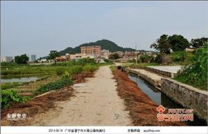 和美村[廣東省普寧市大南山街道下轄村]