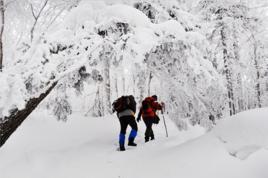 雪鄉穿越