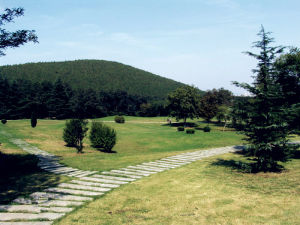 徐州環城國家森林公園