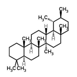 蒲公英烷