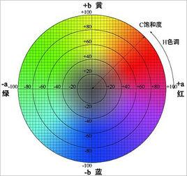 塗料印染技術