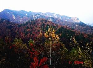 棈山風景區