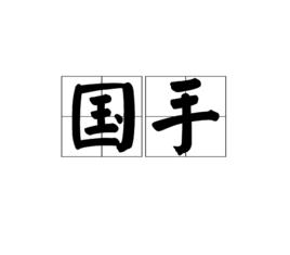 國手[漢語詞語]