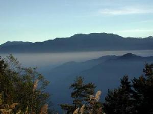 阿里山雲海