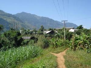 大山壩自然村