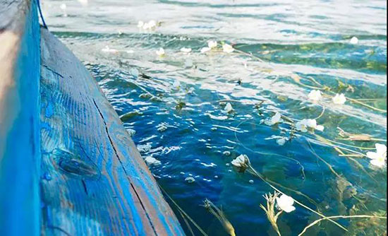 瀘沽湖，就喜歡你的水性楊花！