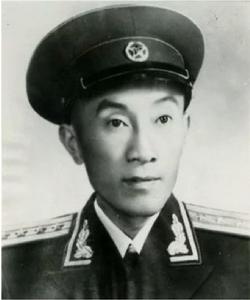 沈萍[前南京軍區炮兵司令部參謀長]