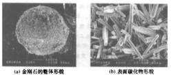 圖3金剛石表面碳化物形貌