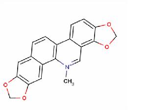 分子結構圖