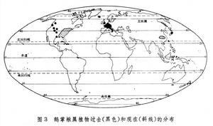 生物分布