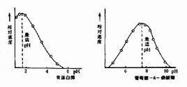 活性