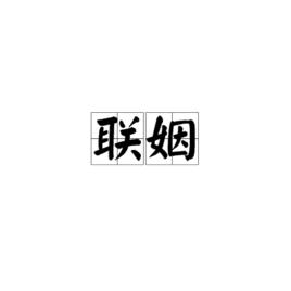 聯姻[名詞]