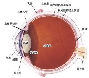 眼球震撼斜視