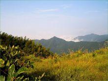 白雲山森林公園