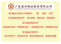 廣東南方鹼業股份有限公司