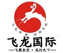 飛龍網商國際系統LOGO