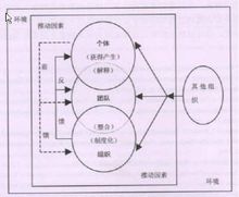 社會互動