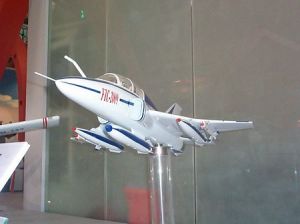 （圖）2000年珠海航展上的1：10模型