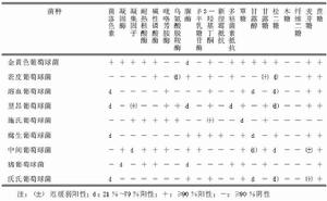 金黃色葡萄球菌A蛋白