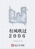 有風吹過2006