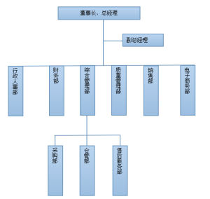 湖南四精眼鏡城有限公司組織架構圖