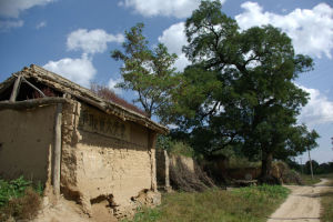 大黃木廠村